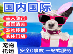 泉州机场托运国际宠物托运 【国